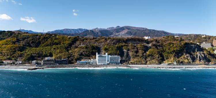 热川温泉蓝海酒店(Atagawa Onsen Blue Ocean)图片