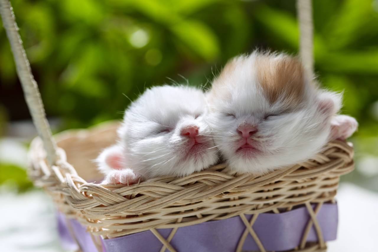 克拉玛依西部乌镇檀程酒店图片