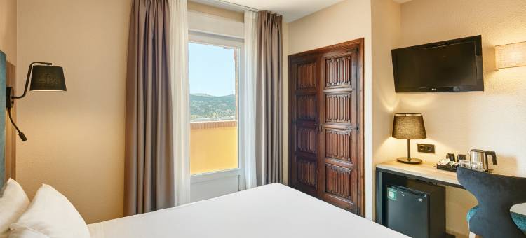 赛尔科特尔阿方索六世酒店(Sercotel Alfonso VI)图片