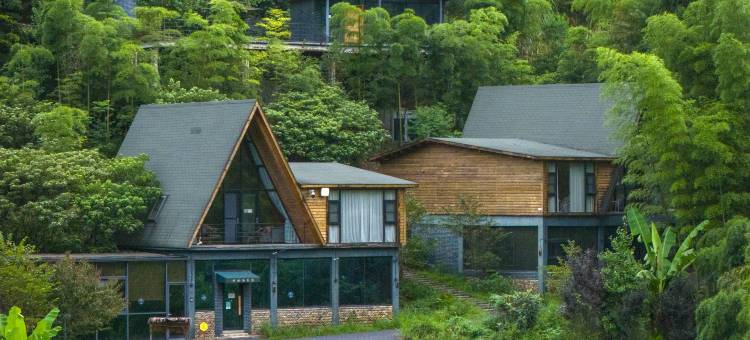 衢州龙游见吾乡·竹栖谷温泉度假民宿图片