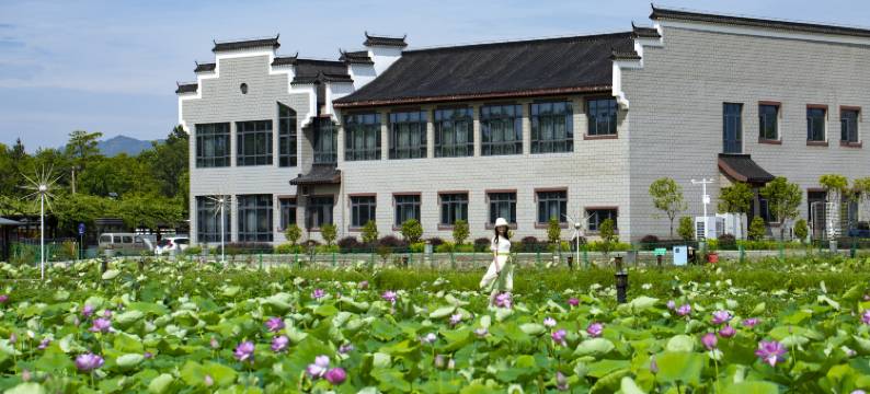 悦荷·百亩荷塘亲子度假民宿图片