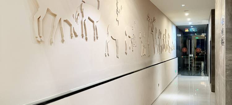 锦冮之星酒店(盐城金丰南大街店)图片