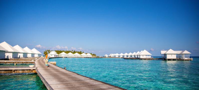 钻石阿图尔加马尔代夫度假村及水疗中心(Diamonds Athuruga Maldives Resort & SPA)图片