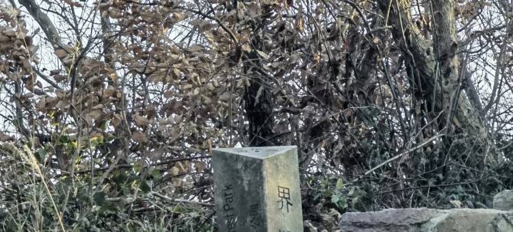 星野望月民宿(庐江汤池温泉旅游度假区店)图片