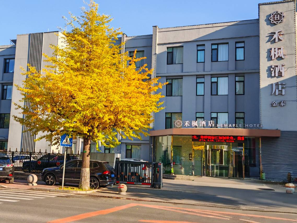 禾枫酒店(鸭绿江断桥店)图片