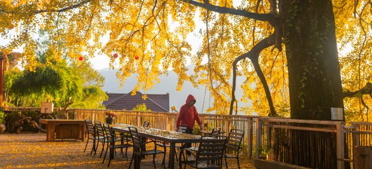 花筑·杭州蒲扇居民宿(白马崖景区店)图片