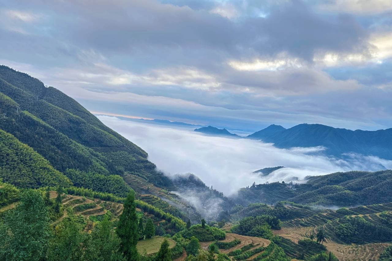 云山序民宿(云和梯田七星墩观景台店)图片