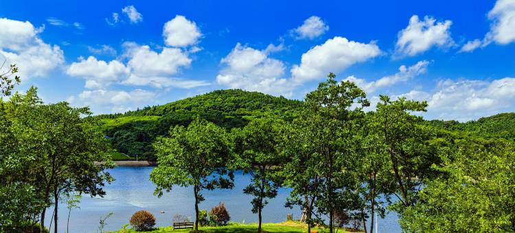 那田山水生态园酒店图片