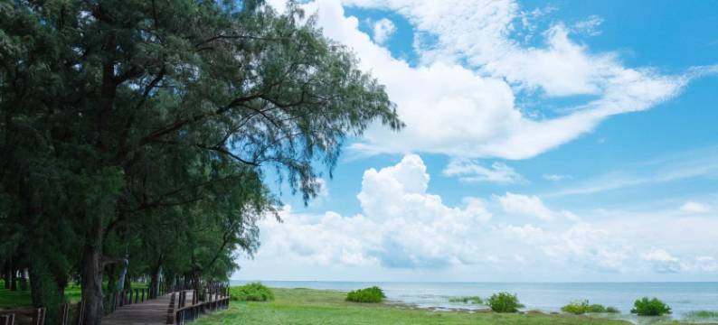 几间海民宿(北海红树林康养职业学院店)图片