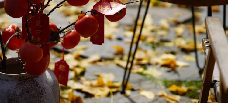 山间小住•Mountain︱花间漫野︱无边泳池隐奢美墅(韶山景区店)图片