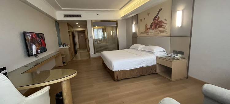 东莞亿东广场国际大酒店(东城温塘国际店)图片