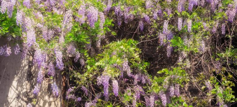 濮院时尚古镇侍郎客栈图片