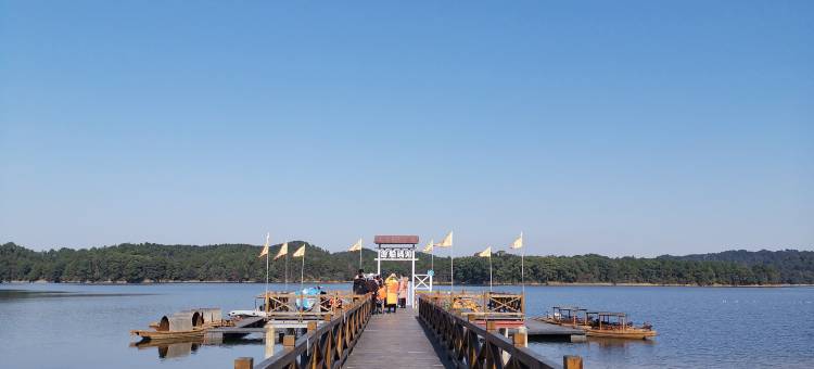 仙女湖森野·山居民宿图片