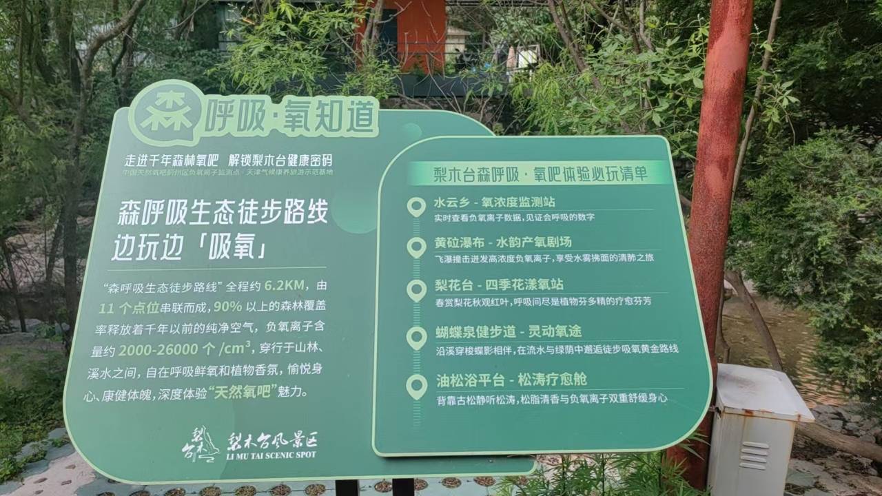 水雲乡·森林疗愈·度假民宿(天津蓟州梨木台风景区店)图片
