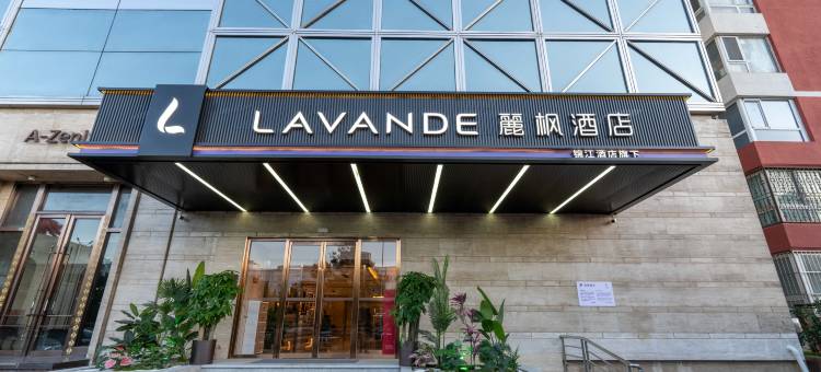麗枫酒店(北京鸟巢对外经贸大学店)图片