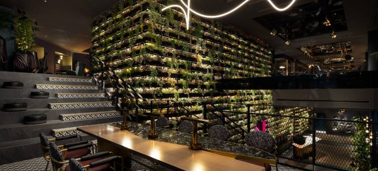 大阪难波东急STAY美居酒店(Mercure Tokyu Stay Osaka Namba)图片