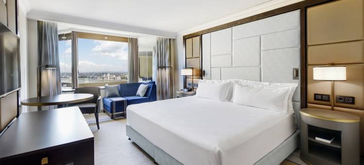 布达佩斯希尔顿酒店(Hilton Budapest)图片