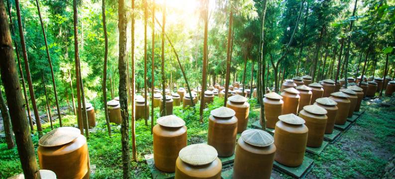 邛崃源窝子酒庄图片