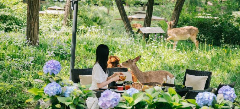 北京在之禾酒店图片
