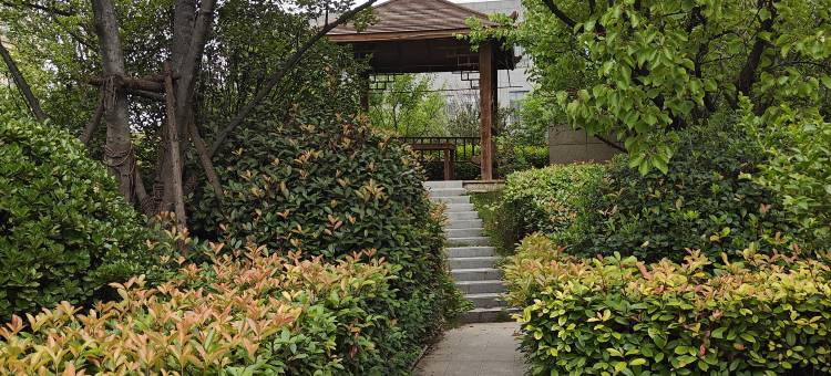 维也妠国际酒店(郸城交通路店)图片