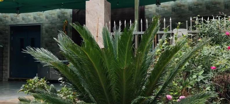 仙都望笋居民宿(鼎湖峰景区店)图片