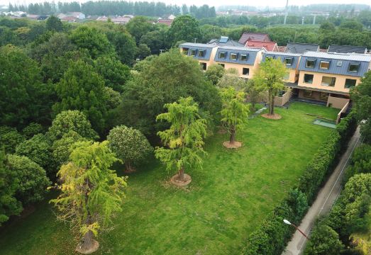 Shanghai Xingshe Camping HomestayHotel Overview