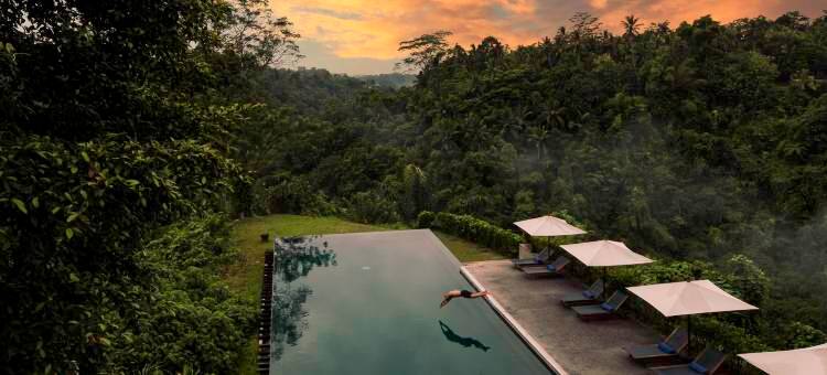 阿丽拉 乌布(Alila Ubud)图片