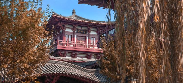 仪征园博君澜度假酒店图片