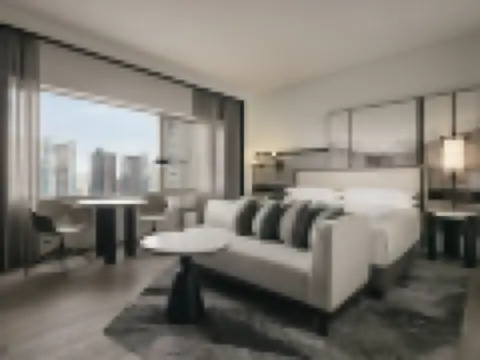 行政套房（特大床）