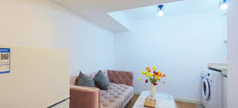 吉客公寓(金融街万达店)图片