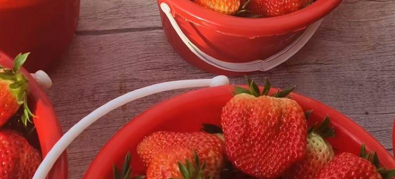 蓬莱壹生府客栈(蓬莱阁店)图片