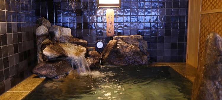 Dormy Inn酒店-岐阜駅前天然温泉金华之汤(Dormy Inn Gifu Ekimae)图片