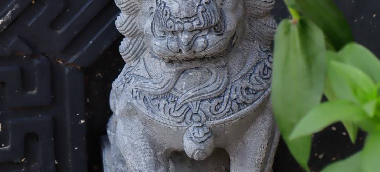 北京抱朴守真小院图片
