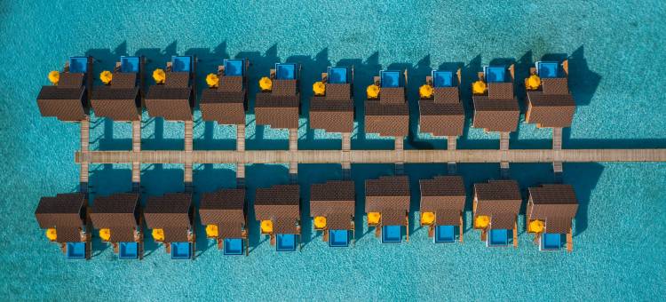 迪古法鲁岛度假村(Dhigufaru Island Resort)图片