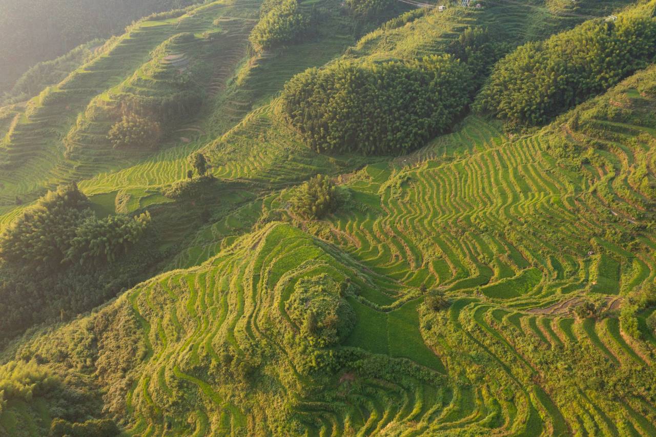 云和梯田栖庭隅民宿(七星墩观景台店)图片