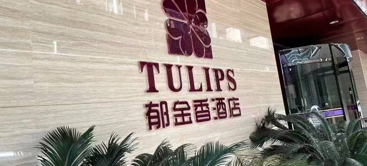 房县郁金香酒店图片