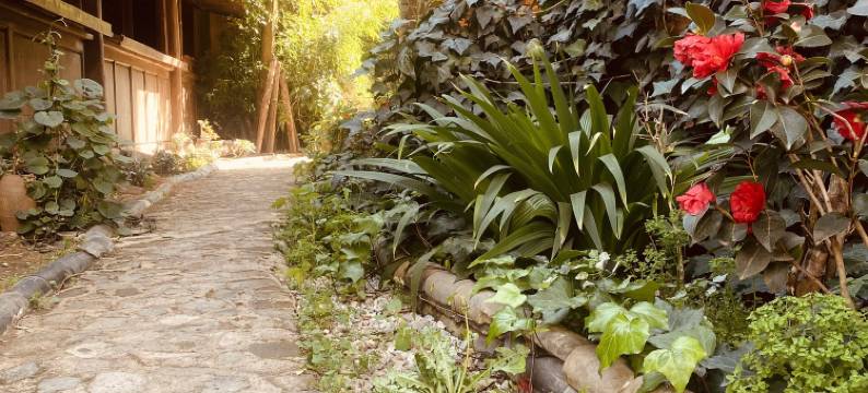 沙溪粮仓特色民宿图片