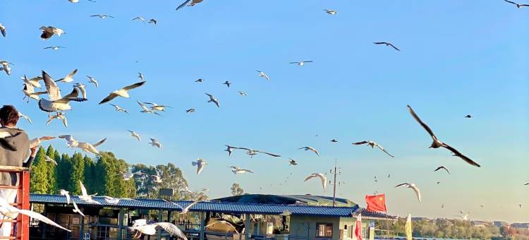 昆明锦江大酒店图片
