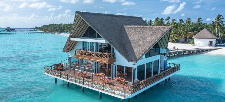 马尔代夫科杜度假村美居酒店(仅限成人) - 接送交通享5折优惠(Mercure Maldives Kooddoo Adults Only Resort - 50% off Domestic Transfers)图片
