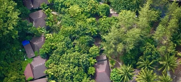 高隆岛海滩度假酒店(Koh Rong Hill Beach Resort)图片