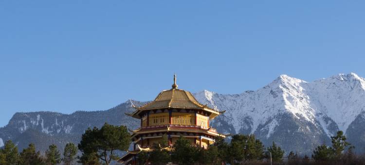 林芝岩庐雪山富氧别院(尼洋河店)图片