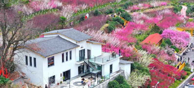 梅苑壹号民宿图片