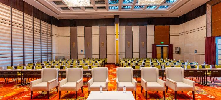 明星机场酒店(Dara Airport Hotel)图片