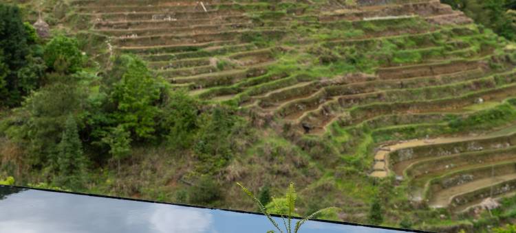 从江加榜云上梯田景观酒店图片