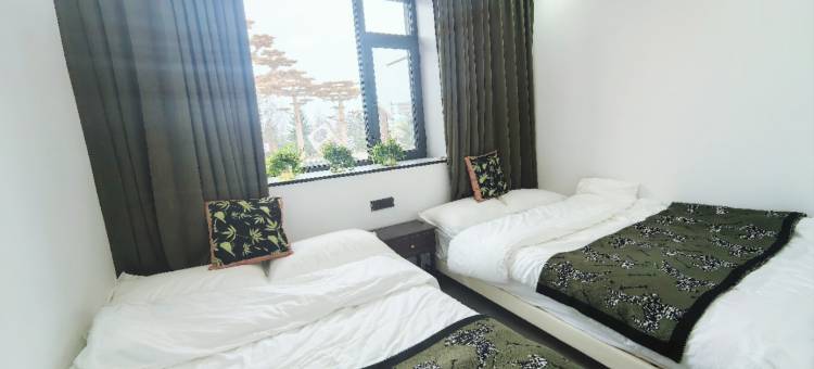 归屿雅居民宿图片