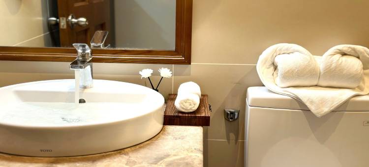 Vivian Skycenter Tan Son Nhat Airport Luxury Vacation图片