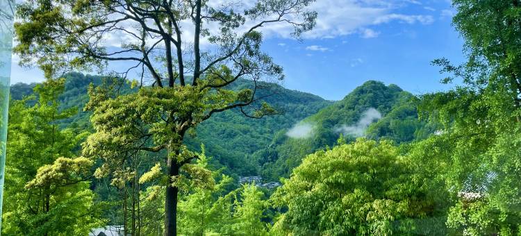 悠然山·Vista|观景私汤民宿(青城后山景区店)图片