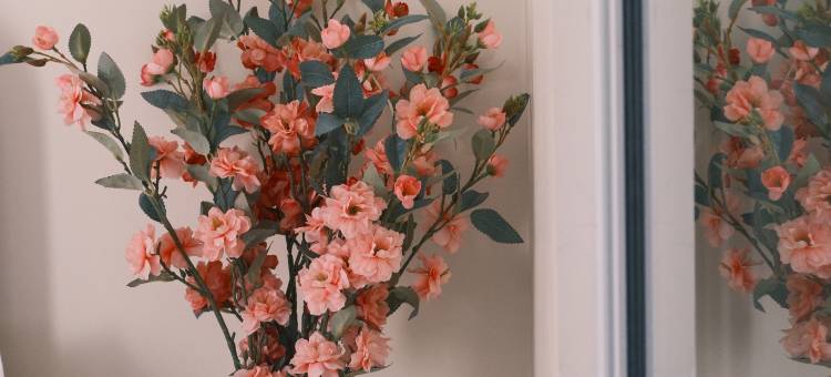 TreehouseRiddle图片