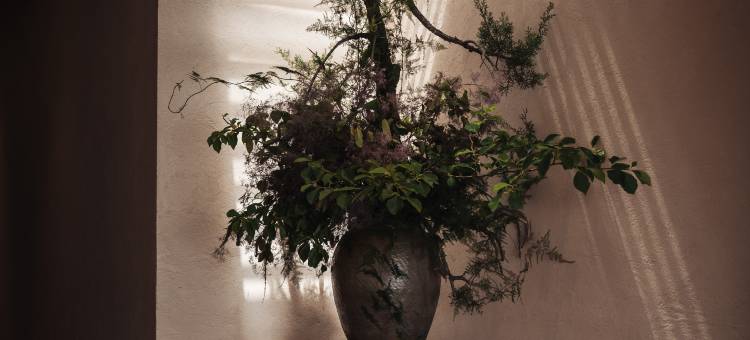 大理宋泊白汀·在地文化海景酒店(洱海S湾生态廊道店)图片