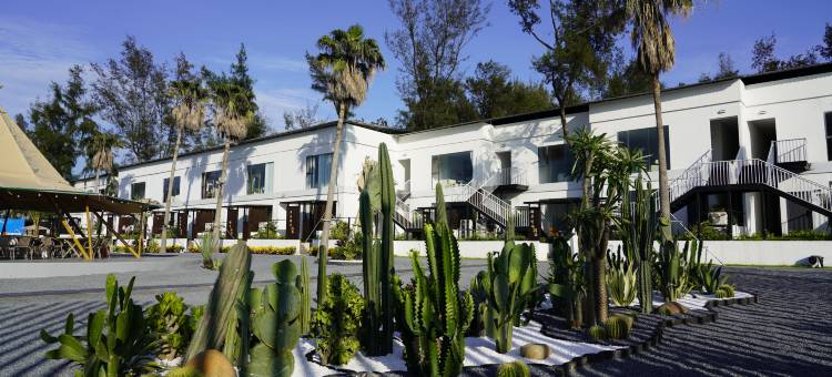 汀海院落海景民宿(万尾金滩店)图片